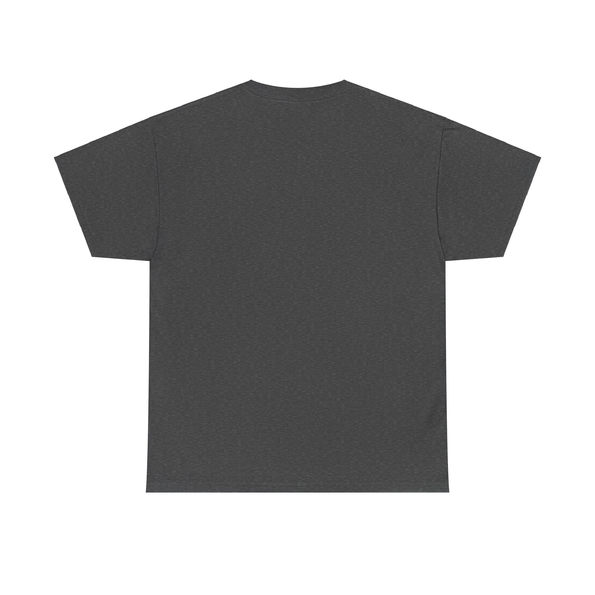 Frank Ocean Tee – Gray T-Shirt - Image 27