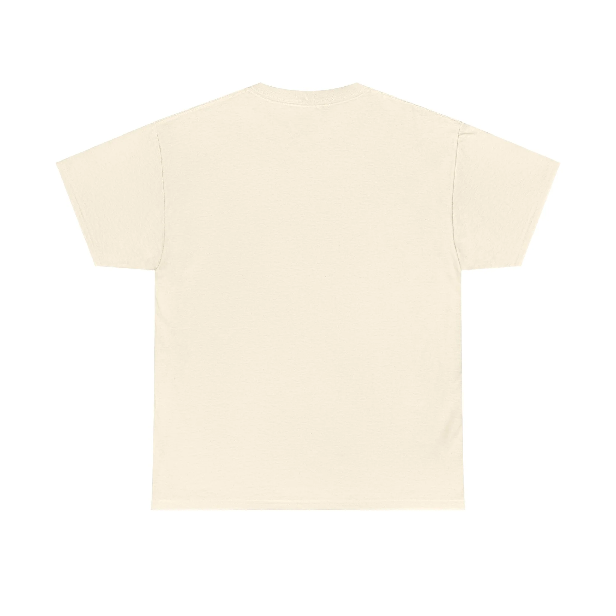 Frank Ocean Tee – Gray T-Shirt - Image 39