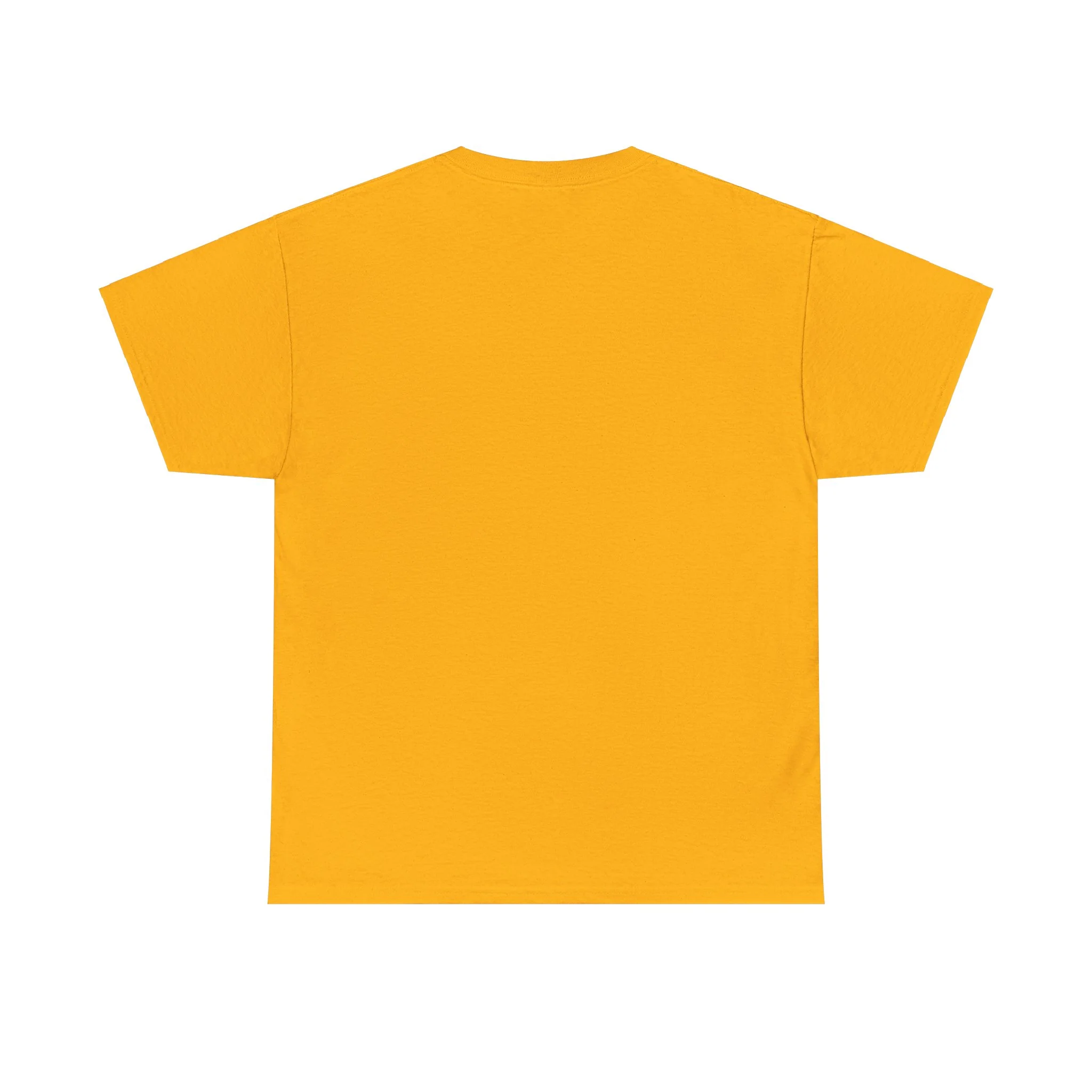 Frank Ocean Tee – Gray T-Shirt - Image 75
